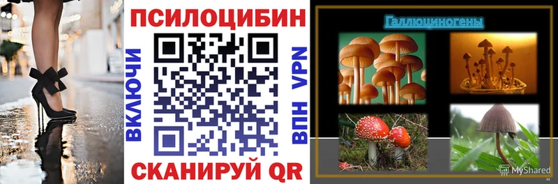 Купить где  Конаково  Галлюциногенные грибы прущие грибы 